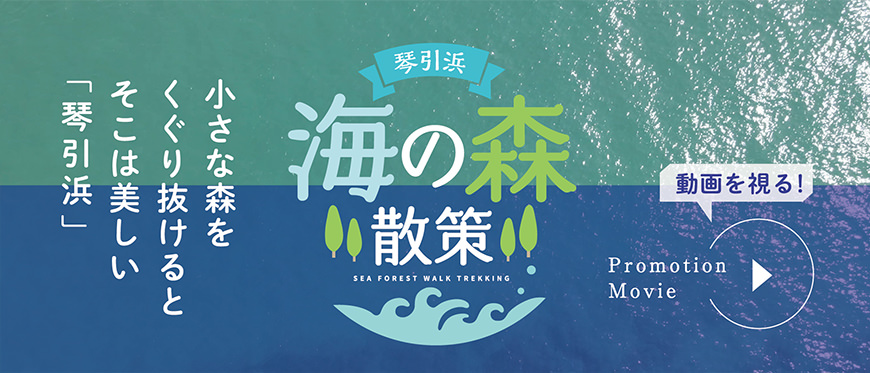 海の森散策 小さな森をくぐり抜けるとそこは美しい「琴引浜」